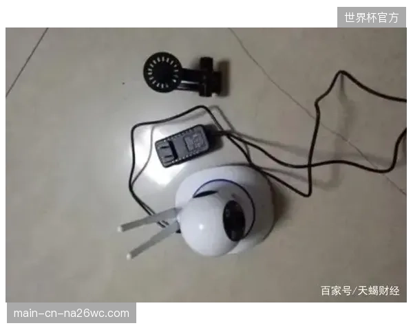 超九成主转播商通过算法剔除看台违规音频
